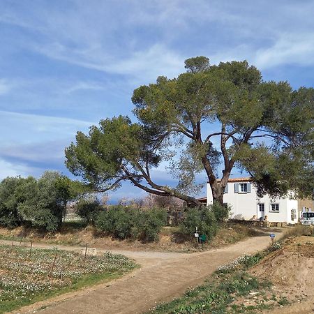Rieux-MinervoisDomaine Saint Augustin别墅 外观 照片