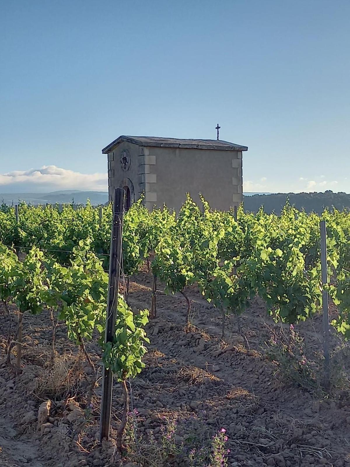 Rieux-MinervoisDomaine Saint Augustin别墅 外观 照片