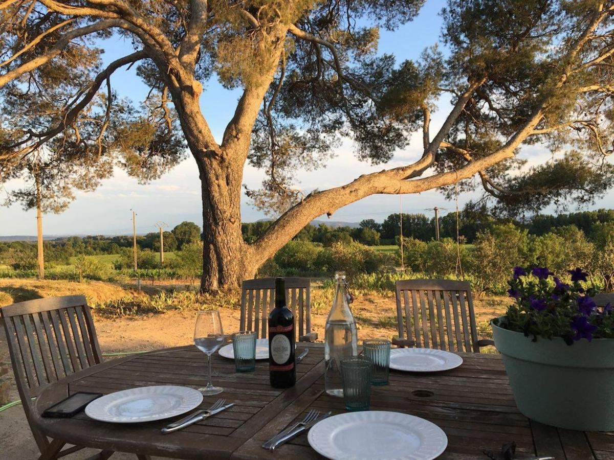 Rieux-MinervoisDomaine Saint Augustin别墅 外观 照片